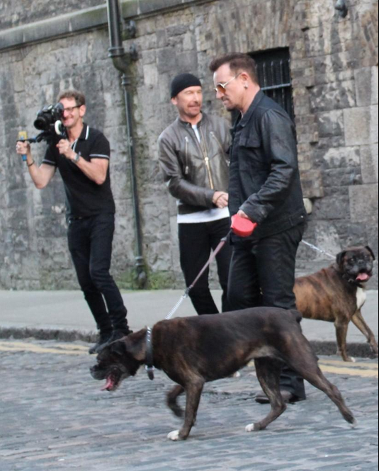 u2dog